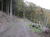 Roentgenlauf 2015 - 062.jpg